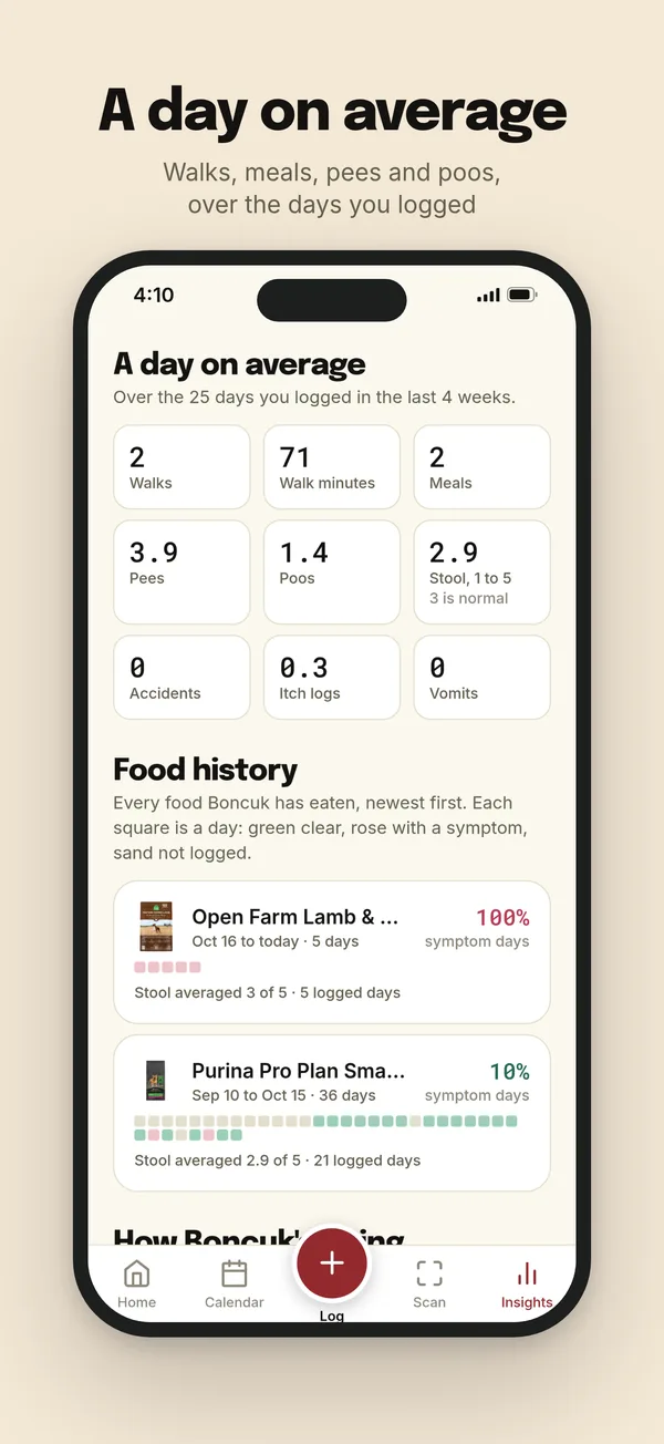 A day on average: walks, meals, pees and poos
