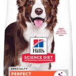 Hill’s Science Diet Adult Perfect Digestion Salmon, Whole Oats, and Brown Rice Recipe Dry Dog Food