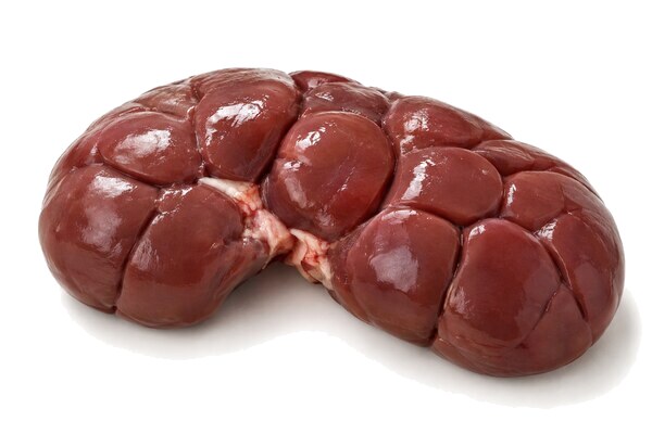 Beef Kidney