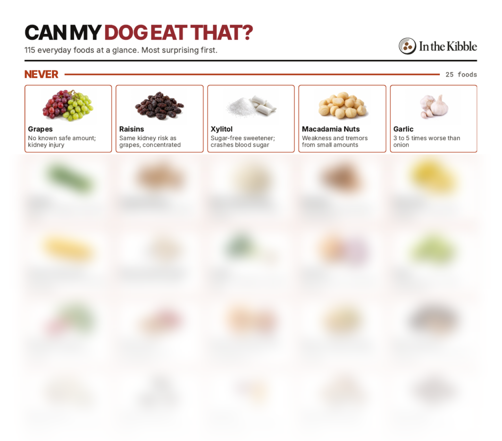 The top of the cheat sheet: the first five never foods, the rest blurred