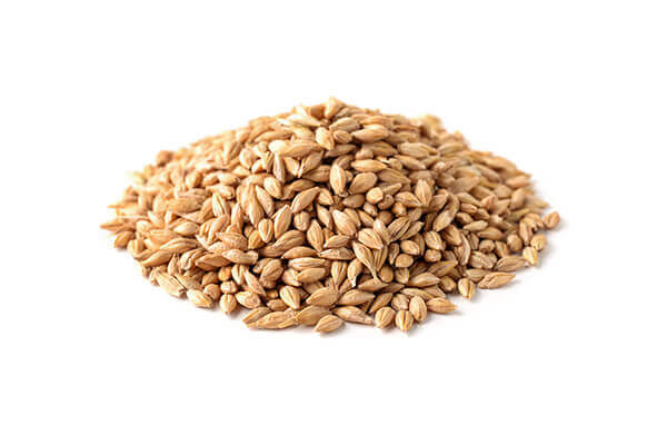 Whole Grain Barley