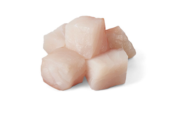Ocean Whitefish