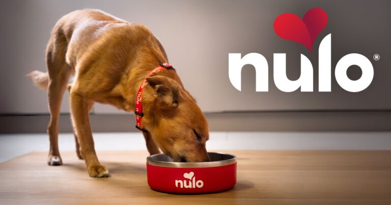 Nulo Culinary Harvest Turkey & Herring Recipe Dry Dog Food