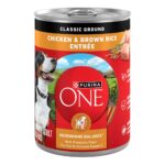 Purina ONE Chicken & Brown Rice Wet Dog Food
