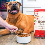 Now Fresh Good Gravy Beef Coated in Bone Broth Dry Dog Food