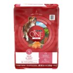 Purina ONE Skin and Coat Dry Dog Food