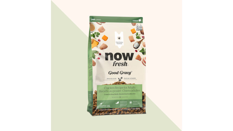Now Fresh Good Gravy Chicken Small Breed Dry Dog Food