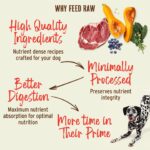 Primal Kibble in the Raw Dry Dog Food, photo 9