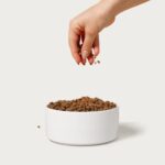Jinx Beef Crumbles Dog Food Topper, photo 2