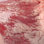 Smallbatch Pork Sliders Freeze-Dried Dog Food, photo 7
